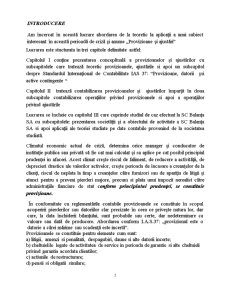 Provizioanele și ajustările - rol contabilizare la SC Balanta SA - Pagina 2