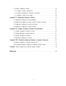 Elemente de diagnostic global strategic al firmei de comerț SC Best Prod SRL - Pagina 3