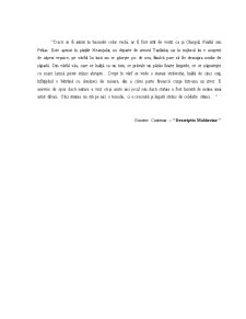 Studiu de caz - pensiunea agroturistică Condor, Dulcești, Neamț - Pagina 3