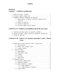 Studiu de caz - pensiunea agroturistică Condor, Dulcești, Neamț - Pagina 4