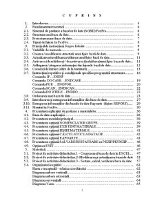 Gestiunea Analitică a Materialelor - Pagina 2