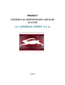 Inițierea și administrarea micilor afaceri - SC Leporidae Export SCS - Pagina 1