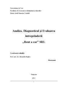 Analiza, diagnosticul și evaluarea întreprinderii Rent a Car SRL - Pagina 1