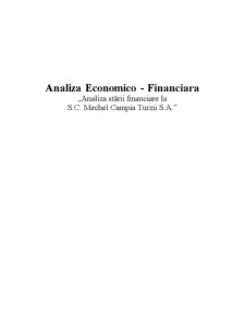 Analiza stării financiare la SC Mechel Câmpia Turzii SA - Pagina 1