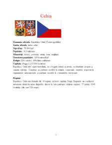 Prezentare demografică a Republicii Cehe - Pagina 1