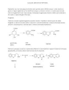 Alcaloizi derivați de triptofan - Pagina 1