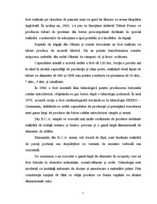 Gestiunea calității materialelor de construcții la SC Elpreco SA Craiova - Pagina 4