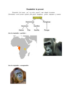 Apariția și Evoluția Hominidelor pe Continentul African - Pagina 3