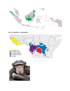 Apariția și Evoluția Hominidelor pe Continentul African - Pagina 4