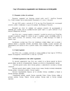 Prezentarea și analiza unui serviciu public din România - Apa Nova București - Pagina 3