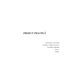 Proiect de practică Decora Stil - Pagina 1