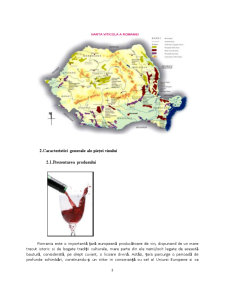 Piața vinurilor din România - Pagina 4