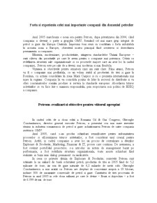 Studiu de Caz Compania Petrom - Pagina 2