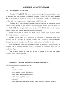Informații bugetare și financiare SC Cogal-Pan SRL Brașov - Pagina 3