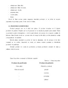 Informații bugetare și financiare SC Cogal-Pan SRL Brașov - Pagina 5