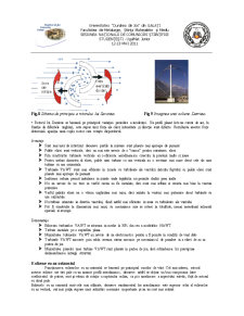 Surse alternative de energie pentru dezvoltare durabilă - energia eoliană - Pagina 3
