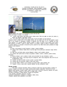 Surse alternative de energie pentru dezvoltare durabilă - energia eoliană - Pagina 4