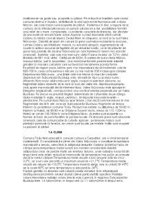 Monografia Comunei Tisău - Pagina 4