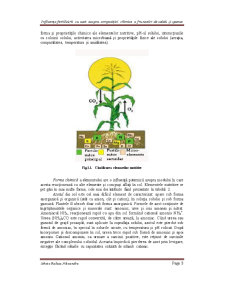 Influența Fertilizării cu Azot Asupra Compoziției Chimice a Frunzelor de Salată și Spanac - Pagina 3