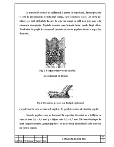 Stație de lucru pentru procesarea informației dactiloscopice - Pagina 5