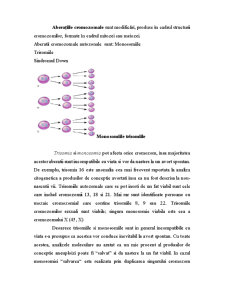 Anomalii Cromozomiale - Pagina 2