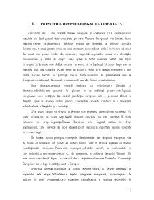 Principiile Dreptului Constituțional European - Pagina 2