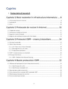 Rolul Routerelor în Infastructura Internetului - Pagina 1