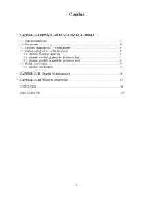 Studiu de Caz SC Kenvelo SRL - Pagina 2