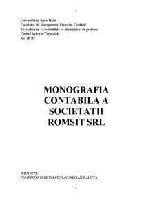 Monografia contabilă a societății Romsit SRL - Pagina 1