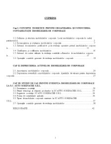 Organizarea contabilității imobilizărilor corporale la SC Auto Sorinache SRL - Pagina 1