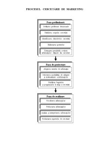 Procesul și Tipologia CMK - Pagina 1