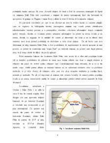 Studiu Privind Potentialul Turistic al Stațiunii Balneoclimaterice Băile Felix - Pagina 4