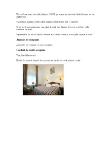 Plan de Marketing Turistic - Hotel Sinaia - Pagina 5