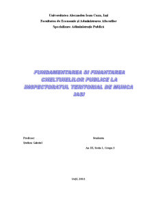 Fundamentarea și finanțarea cheltuielilor publice la Inspectoratul Teritorial de Muncă Iași - Pagina 1