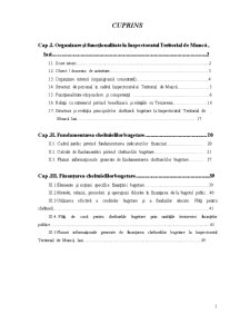 Fundamentarea și finanțarea cheltuielilor publice la Inspectoratul Teritorial de Muncă Iași - Pagina 2