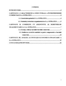 Raportul stagiului de practică la întreprinderea de profil SA Supraten - Pagina 2