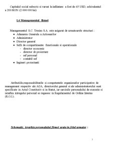 Diagnosticarea viabilității economice și manageriale la SC Tresim România SA - Pagina 3