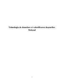 Tehnologia de Demolare și Valorificarea Deseurilor. Molozul - Pagina 2