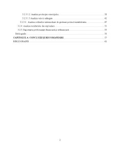 Model de Raportare a Performanțelor Financiare și Nefinanciare - Pagina 2
