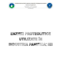 Enzime proteolitice utilizate în industria panificației - Pagina 1