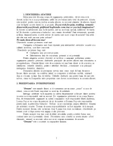 Plan de Afaceri - SC Dreams SA Oradea - Pagina 1