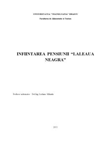 Înființarea pensiunii Laleaua Neagră - Pagina 1