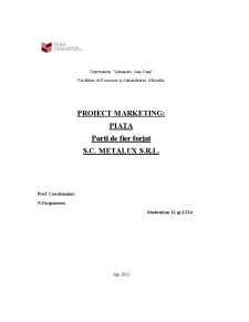 Cercetare marketing - piața porți de fier forjat SC Metalux SRL - Pagina 1