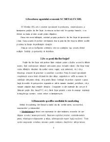 Cercetare marketing - piața porți de fier forjat SC Metalux SRL - Pagina 3