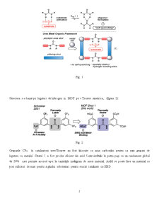 Analiza cristalografică a unei rețele metaloorganice utilizând urea - Pagina 2