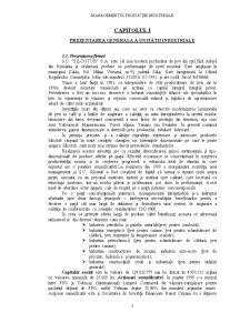 Managementul producției industriale - SC Silcotub SA Zalău - Pagina 3