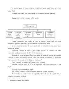 Studiu de caz contractul de Lohn - un susținător fragil al exporturilor românești - Pagina 3