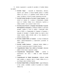 Monografie Consiliu Județean Iași - Pagina 5