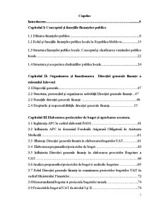 Raport privind Practica de Producție și Licență în Cadrul Direcției Generale Finanțe Ialoveni - Pagina 2