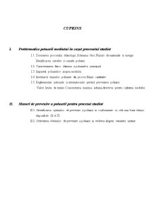 Prevenirea Poluării Mediului în Cazul unui Proces de Fabricatie a Acidului Sulfuric din Pirita - Pagina 3